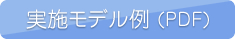 実施モデル例 (PDF)